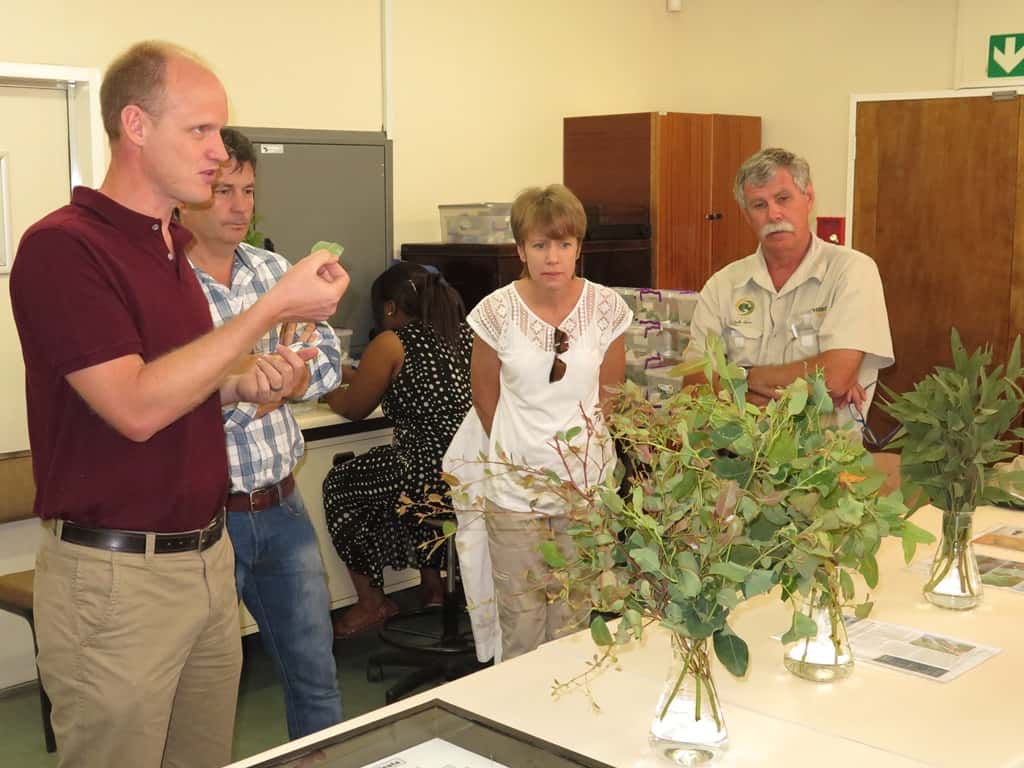 Macadamia growers visit FABI