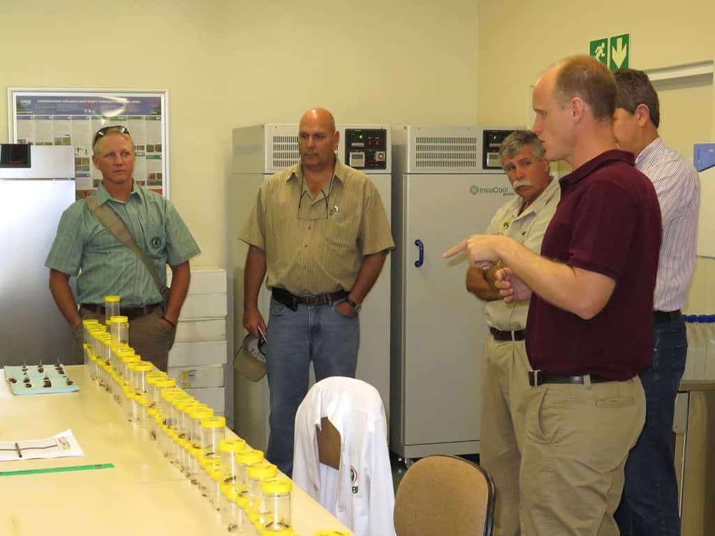 Macadamia growers visit FABI
