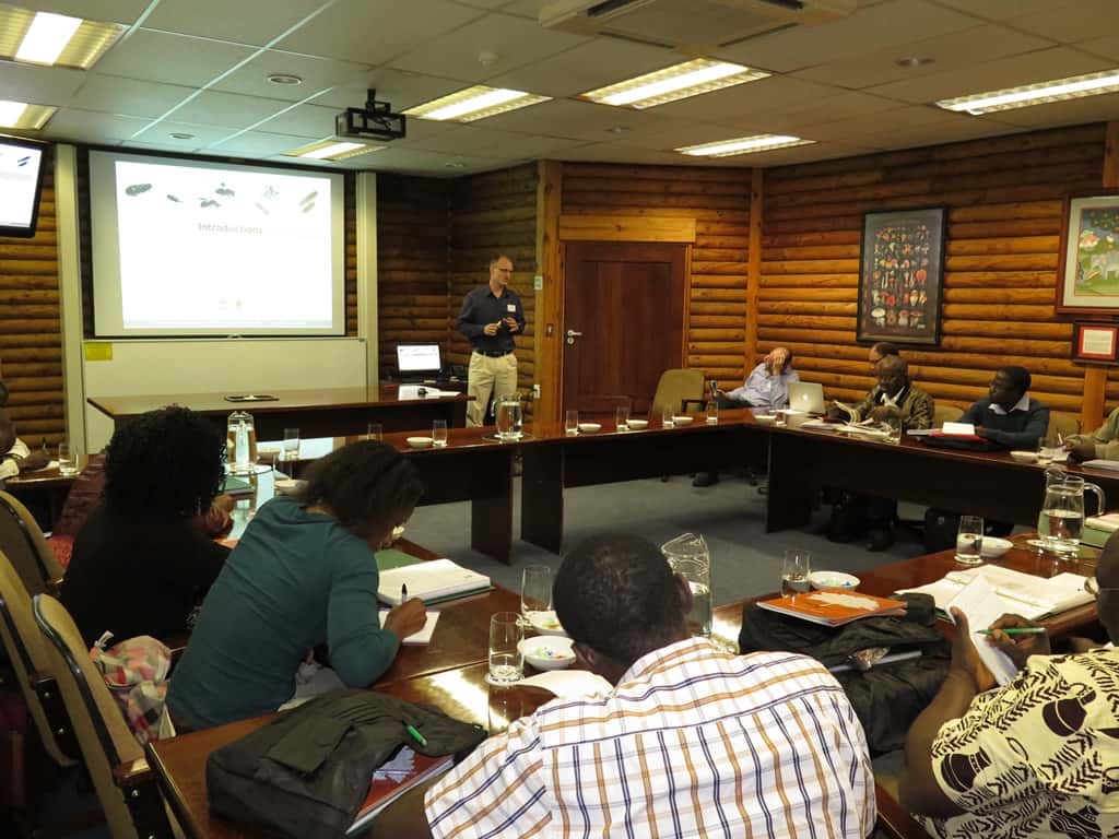 Building capacity in Africa: FABI hosts a workshop on the Biological Control of Eucalyptus Insect Pe