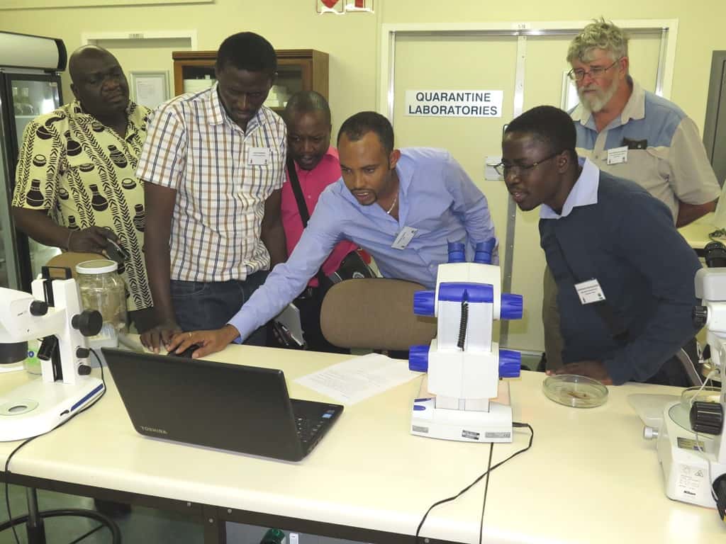 Building capacity in Africa: FABI hosts a workshop on the Biological Control of Eucalyptus Insect Pe