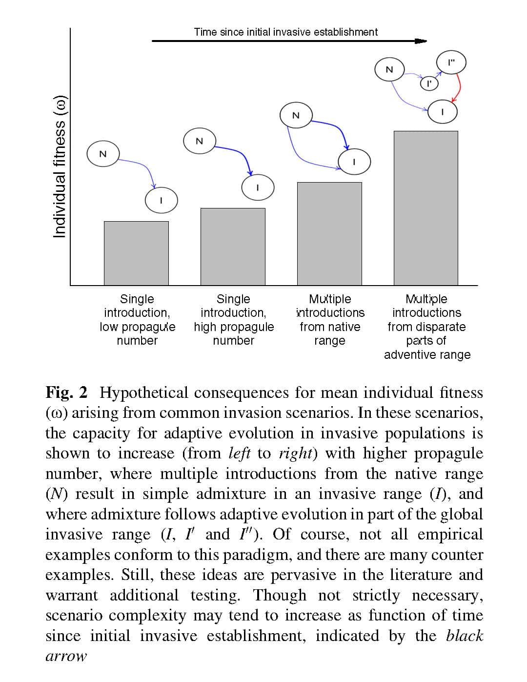 A Special Issue on Biological Invasions of Insects includes seven FABI papers