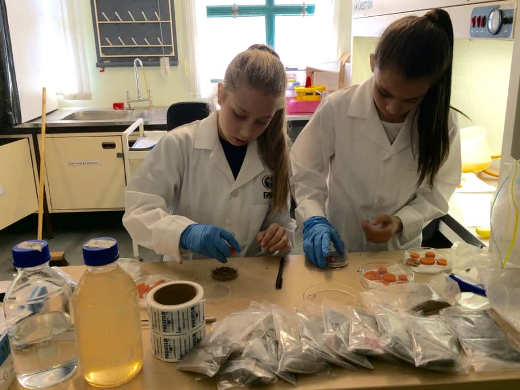 Real scientists in FABI start young