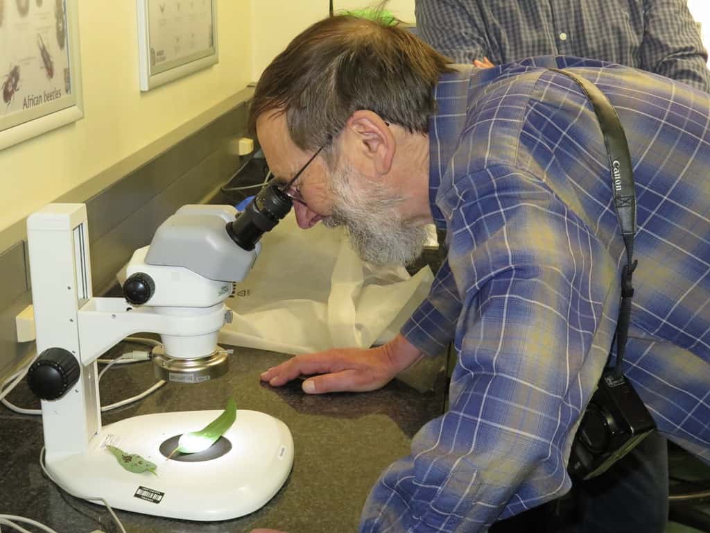 Prof. Everett Hansen visits FABI
