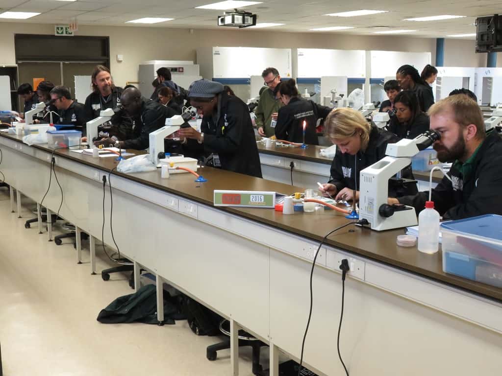 Fusarium Laboratory Workshop hosted by FABI