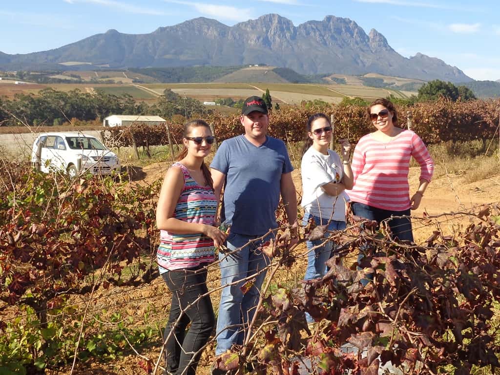 FABI Researcher instrumental in wining the fight against grapevine leafroll disease