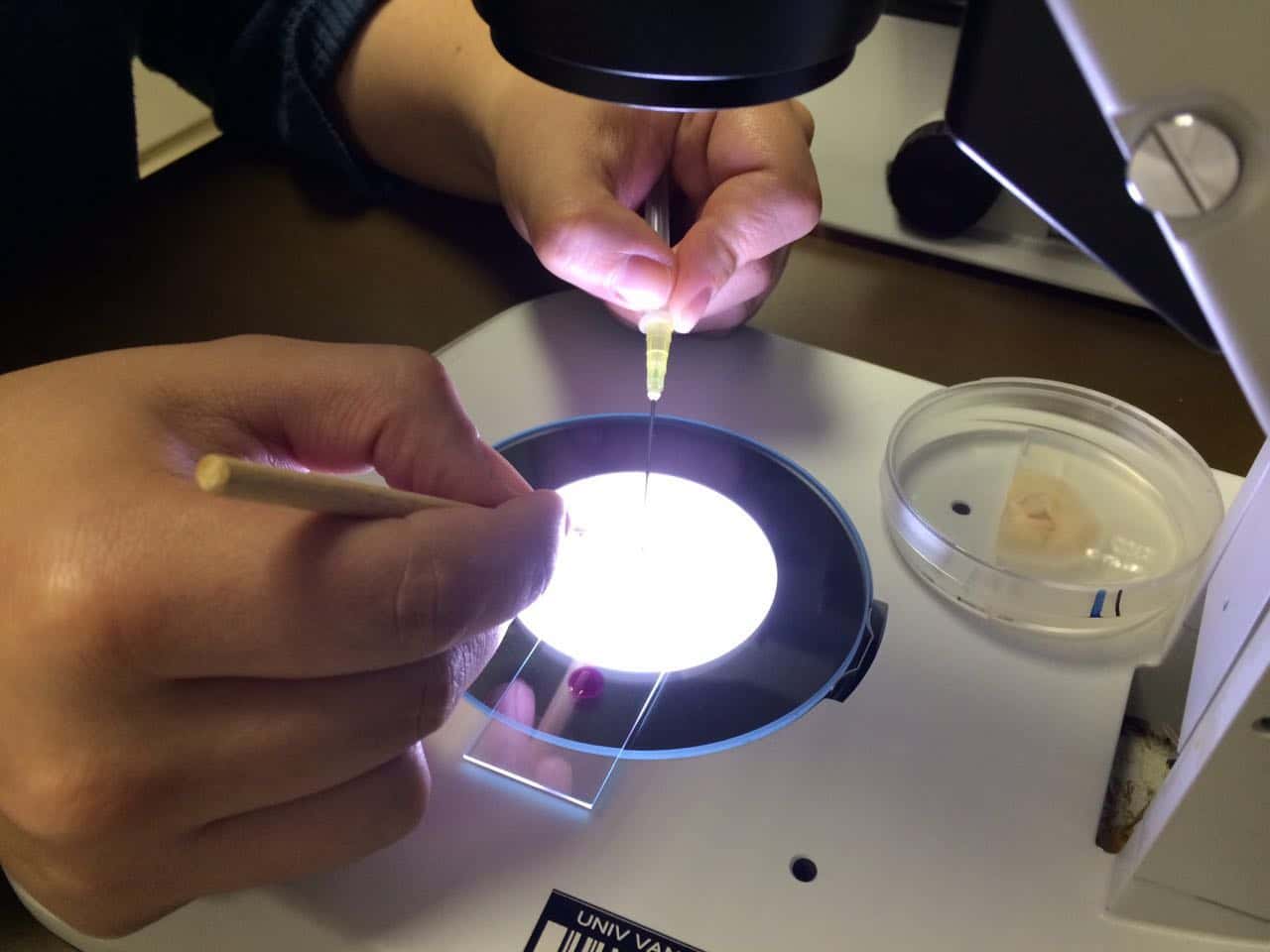 Mycology workshop in FABI a great success