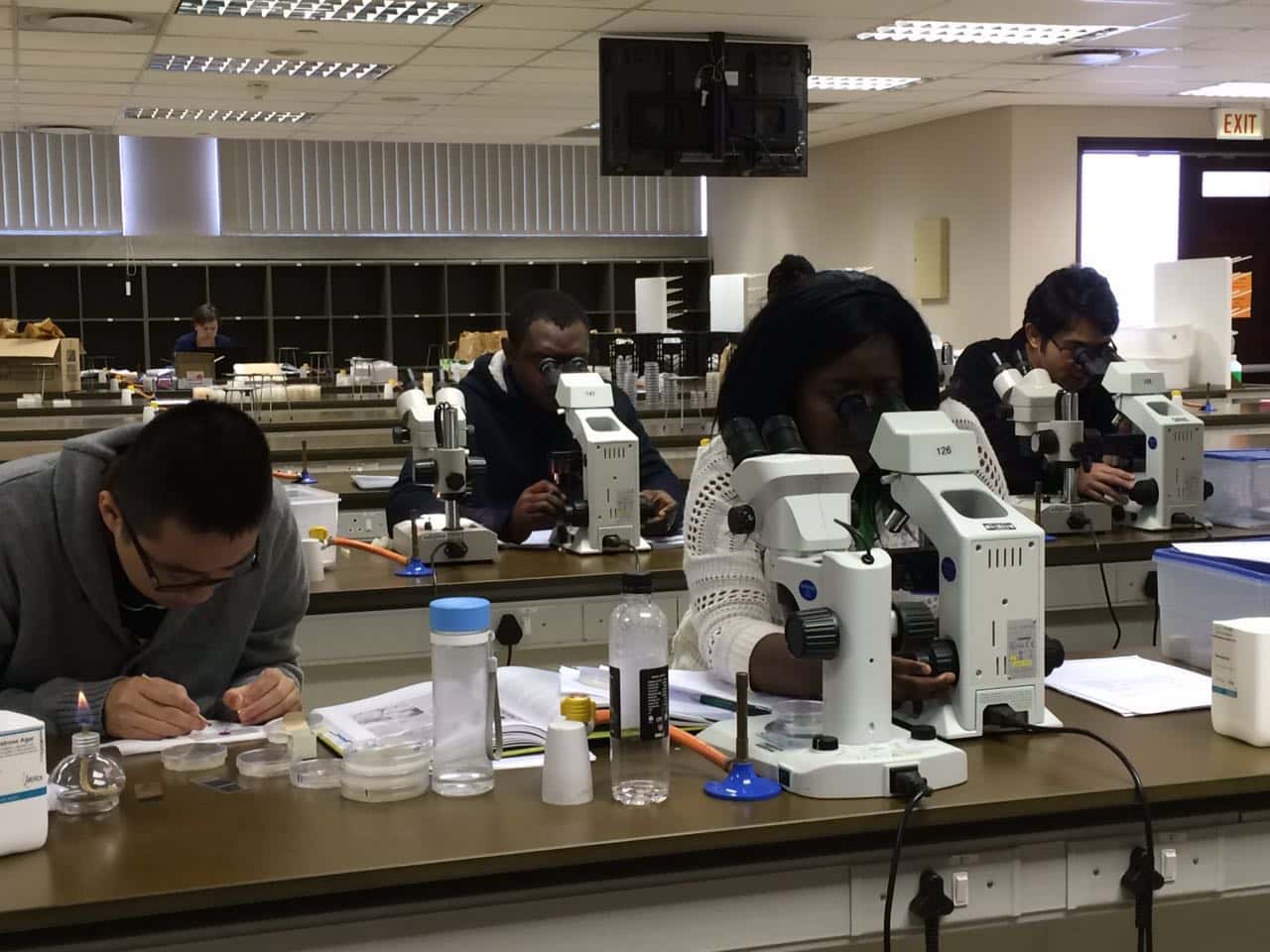 Mycology workshop in FABI a great success