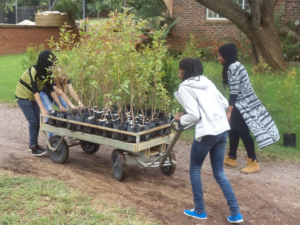 Future “plant doctors” represent the CTHB in UP with Science Winter Week