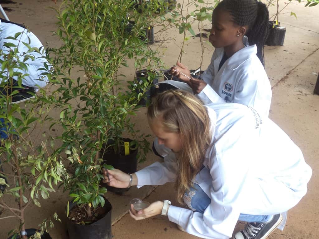 Future “plant doctors” represent the CTHB in UP with Science Winter Week