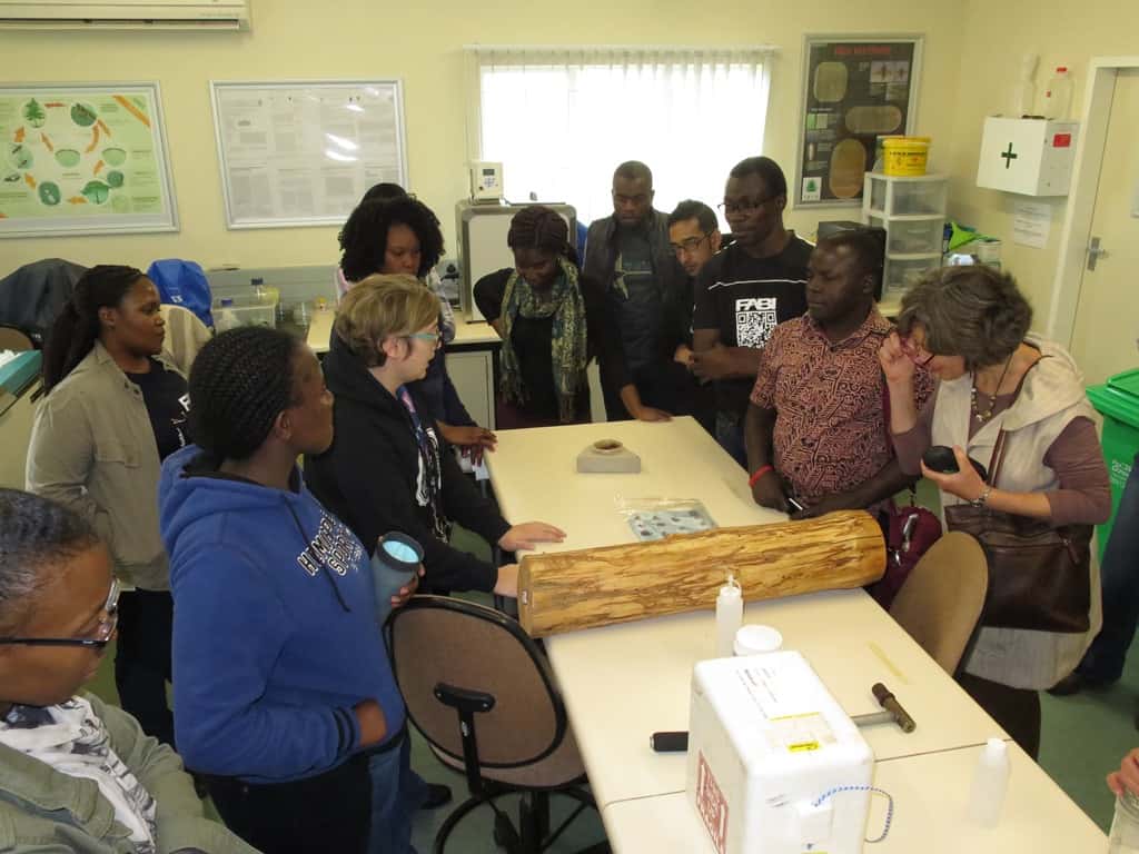 FABIans visit the Biocontrol Facility