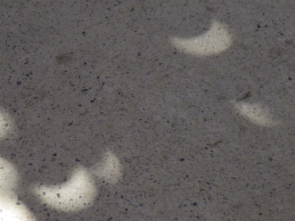 Trees reveal solar eclipse