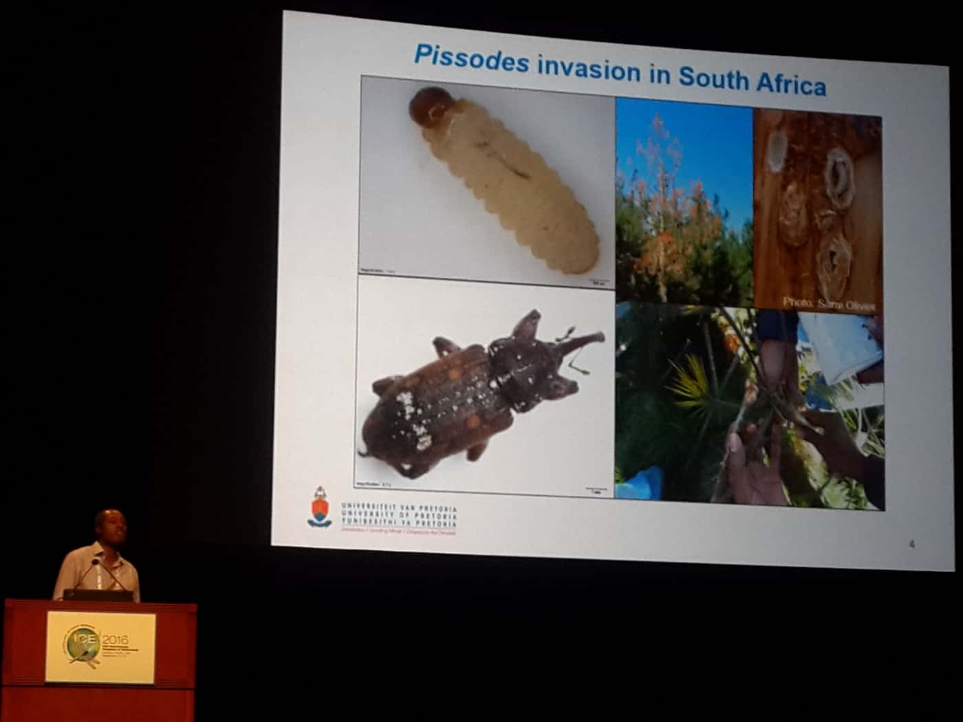 FABIans attend International Entomological Congress (ICE) in Orlando, USA