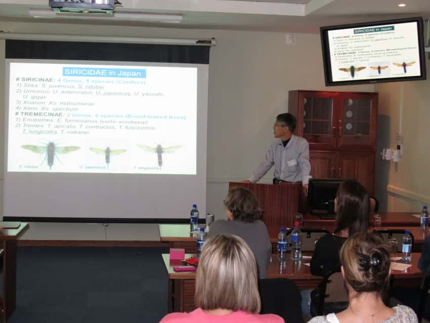 Sirex research in South Africa and Japan in the spotlight at a FABI mini-symposium