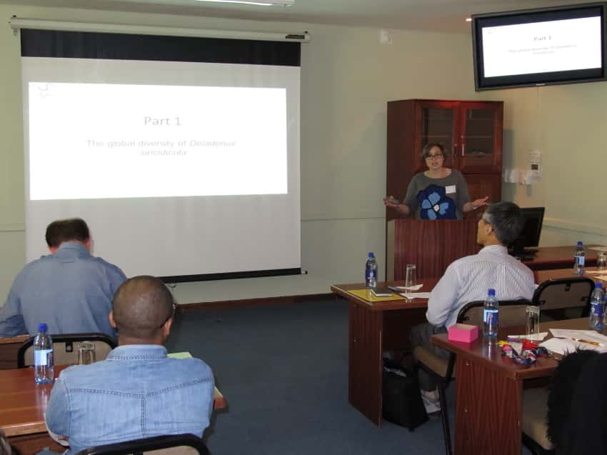 Sirex research in South Africa and Japan in the spotlight at a FABI mini-symposium