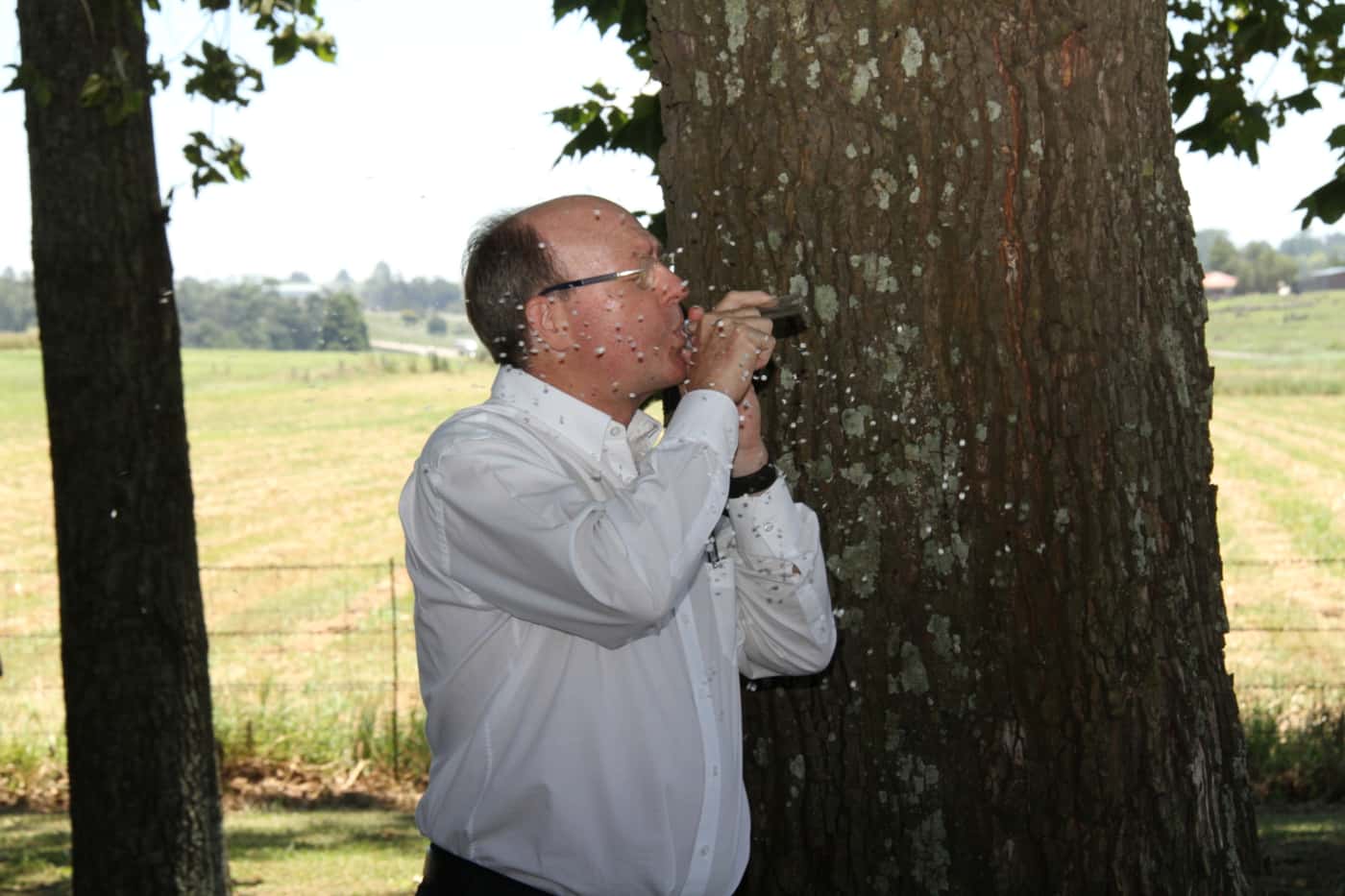 Renovated Tooke memorial unveiled