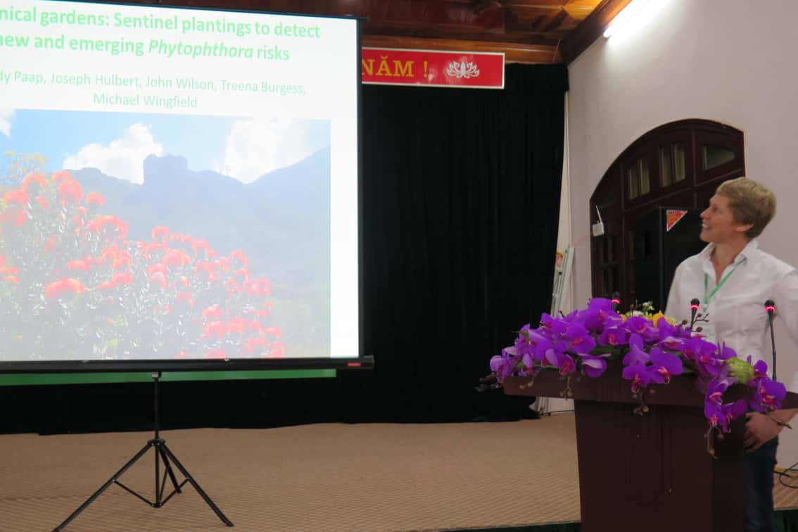 FABIans attend international Phytophthora meeting