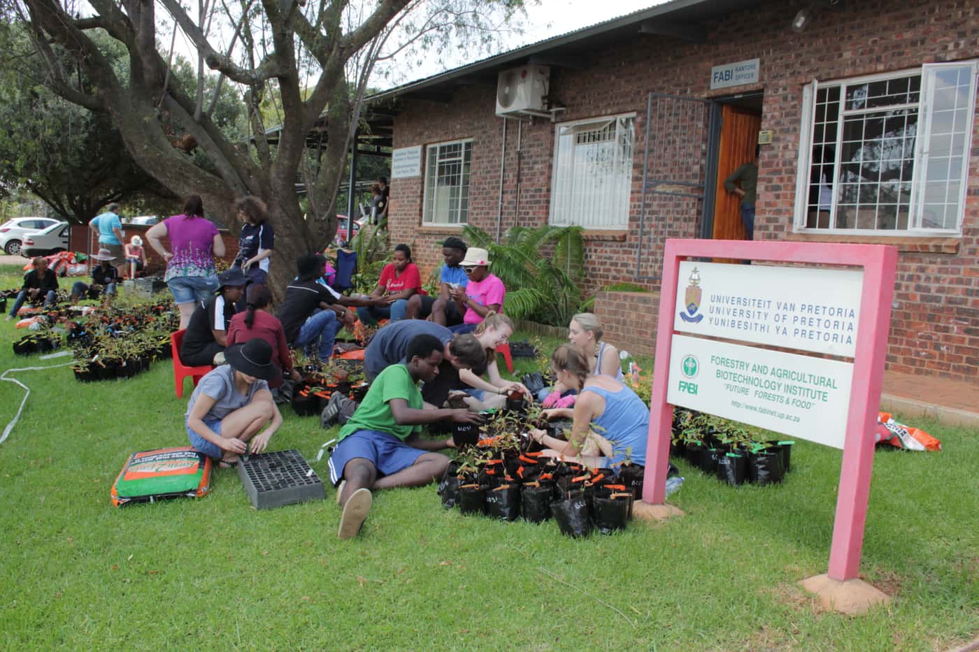 FMG tree planting day