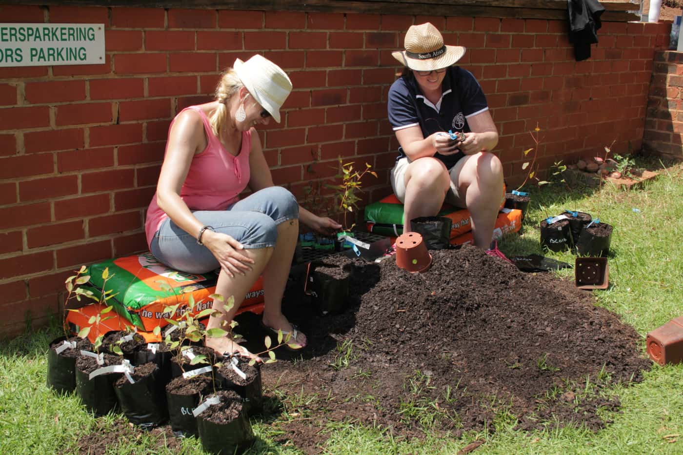 FMG tree planting day
