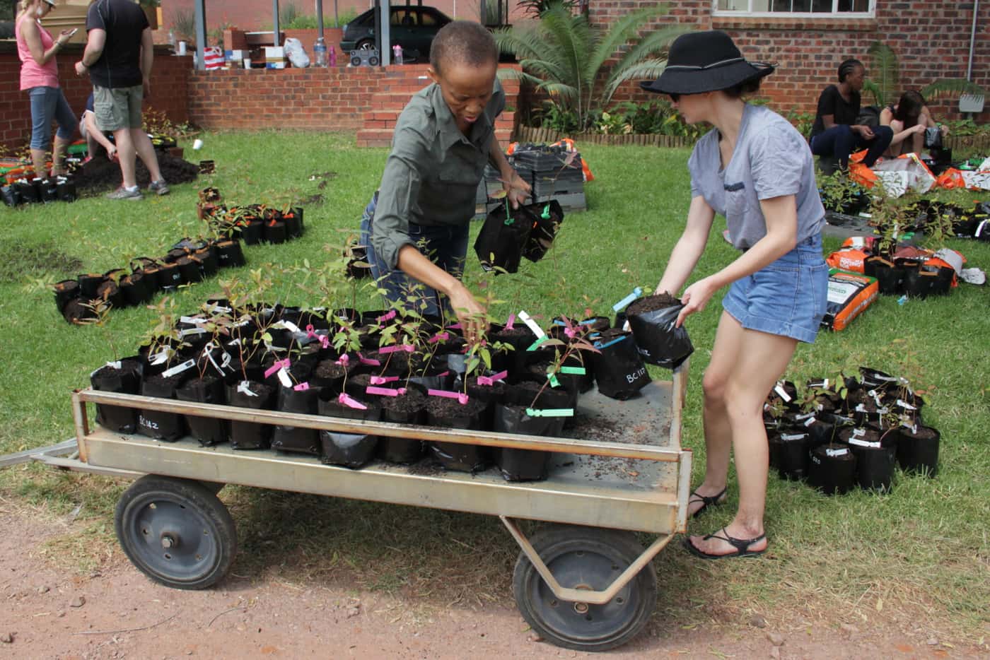 FMG tree planting day
