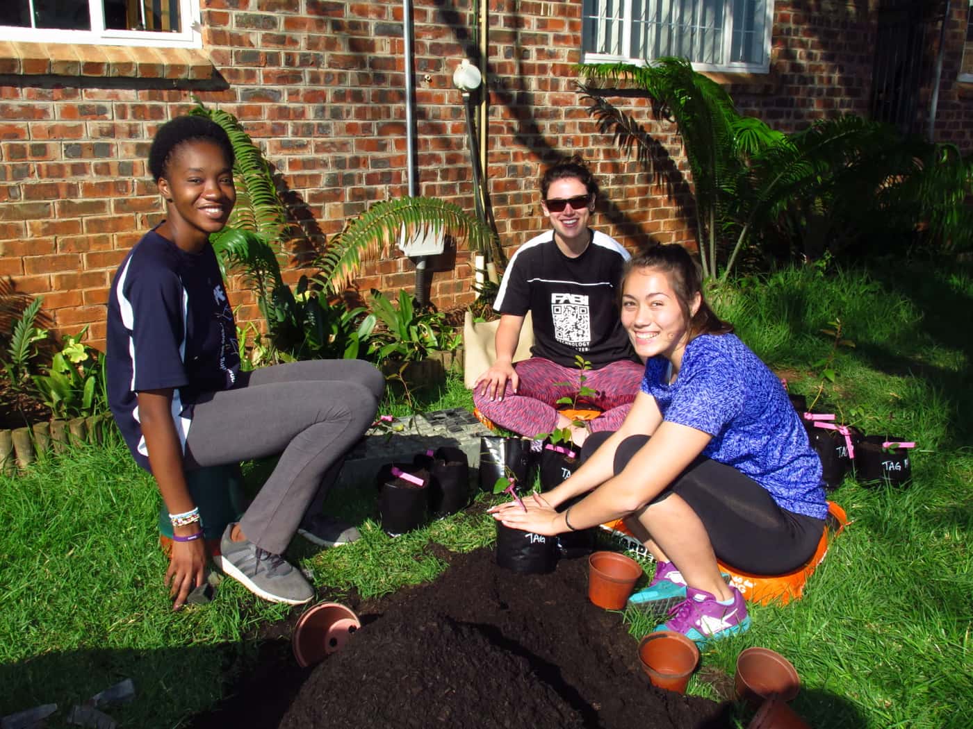 FABIans break a record at 2017 TPCP-CTHB tree planting