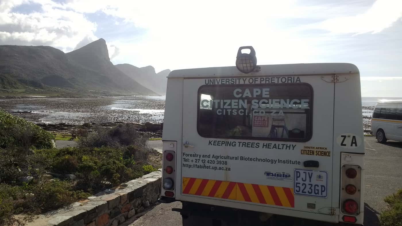 FABI engages youth from Philippi in research at Cape Point