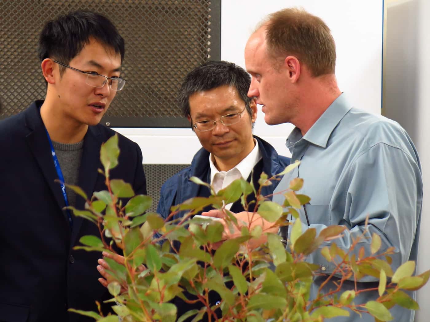 Chinese Embassy delegation visits FABI