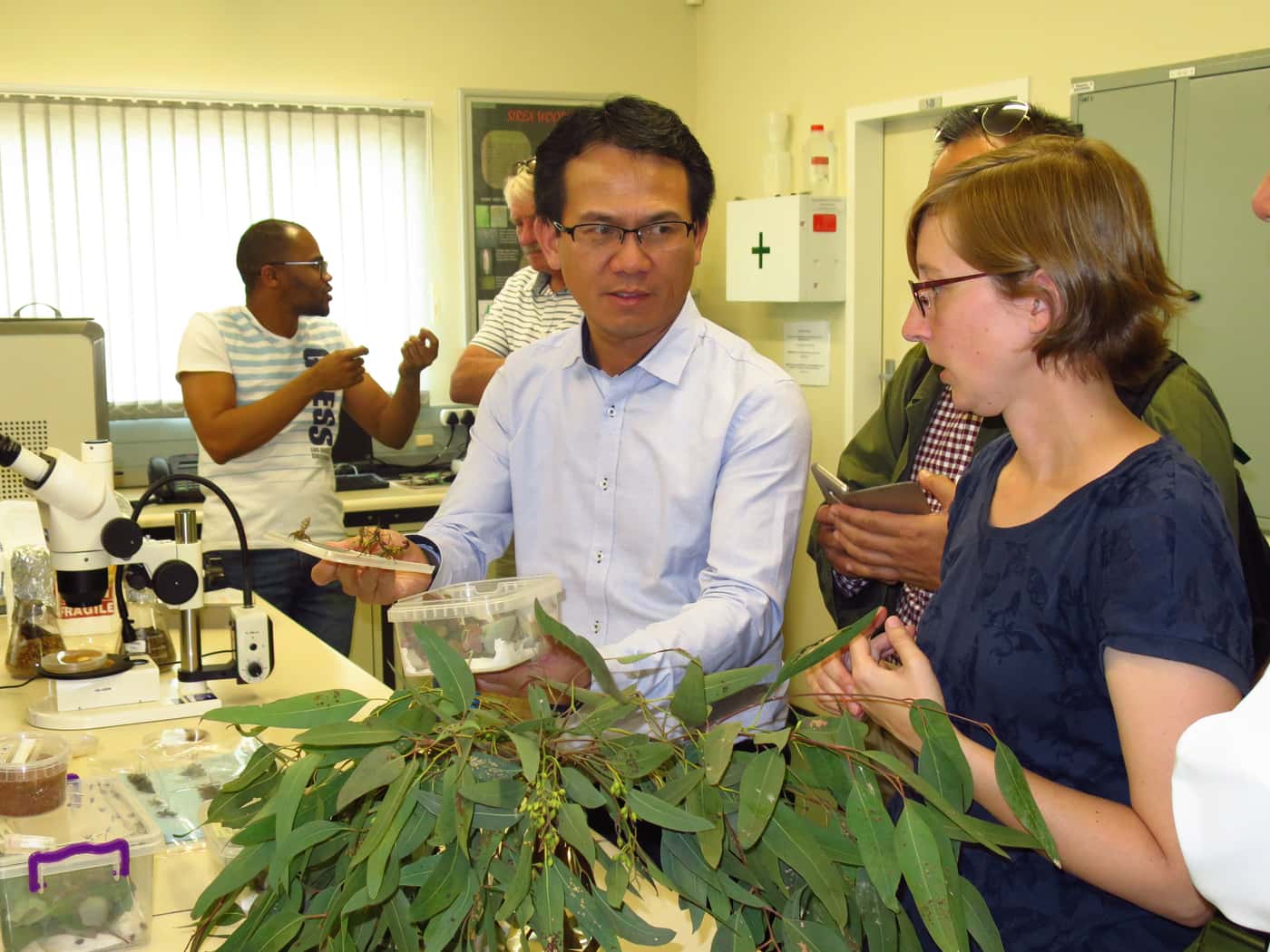 Sarawak Forestry Group visits FABI