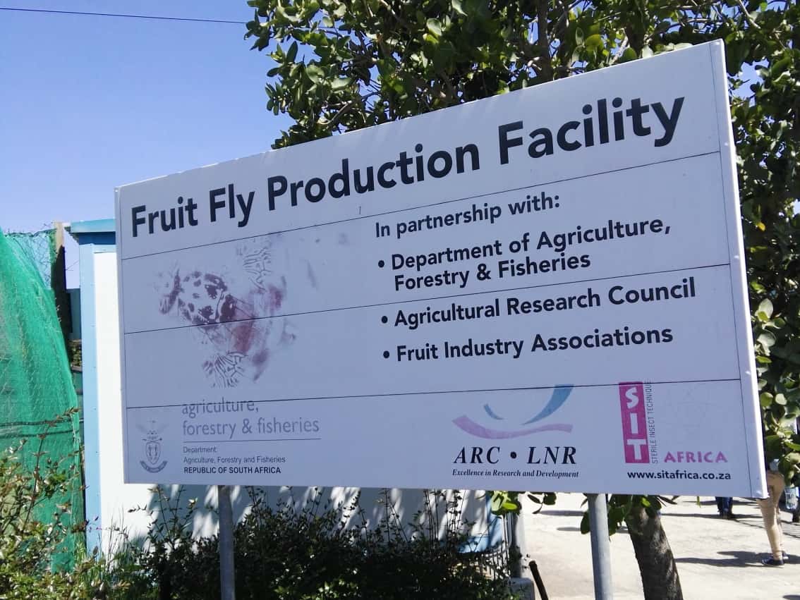 FABIans attend an insect mass-rearing workshop
