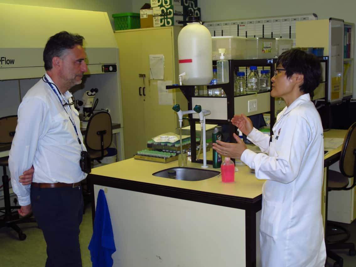 Italian forest pathologist visits FABI