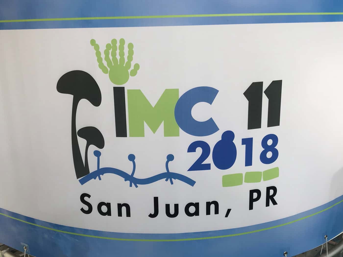 Two Fabians receive prestigious awards at the International Mycological Congress