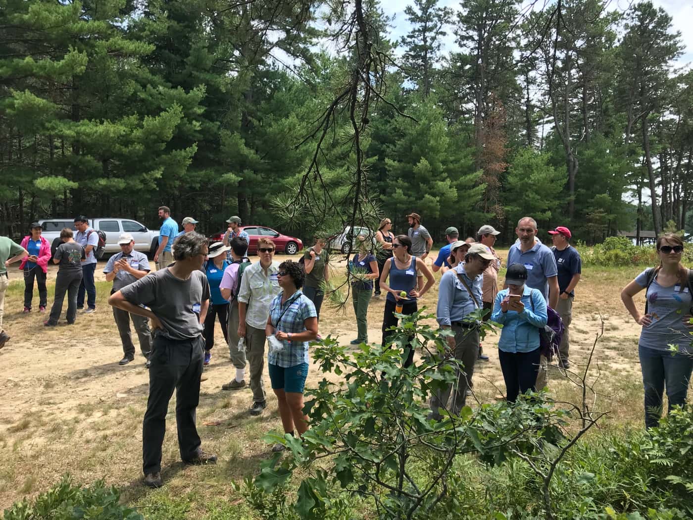 FABIans participate in ICPP Forest Pathology fieldtrip