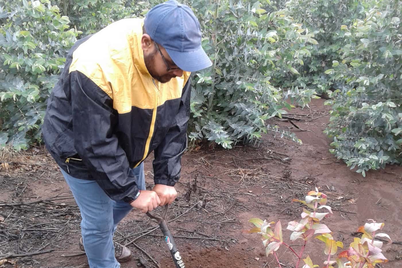 FABI PostDocs visit Sappi Research Centre