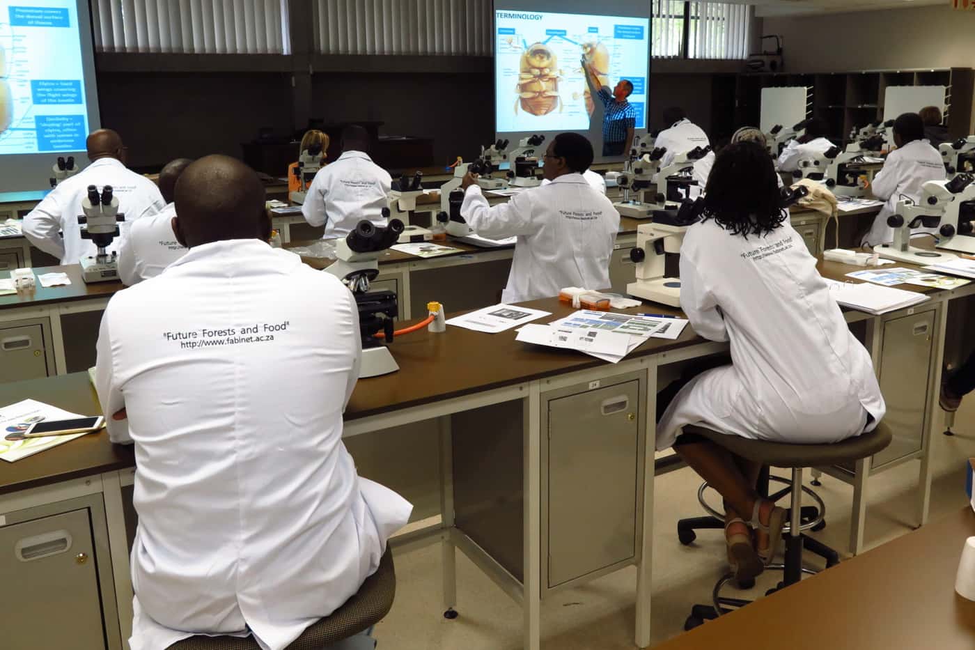 FABI and CABI jointly host the first Polyphagous Shot Hole Borer Workshop in Africa