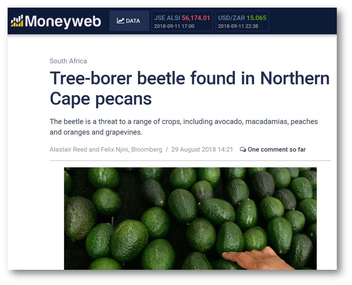 Shot Hole Borer invasion places FABI in the spotlight