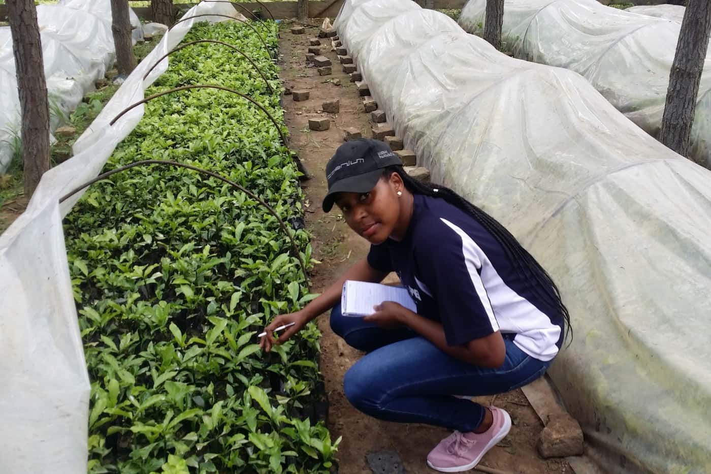 Crossing the Equator: A research visit to the National Coffee Research Institute (NaCORI) in Uganda