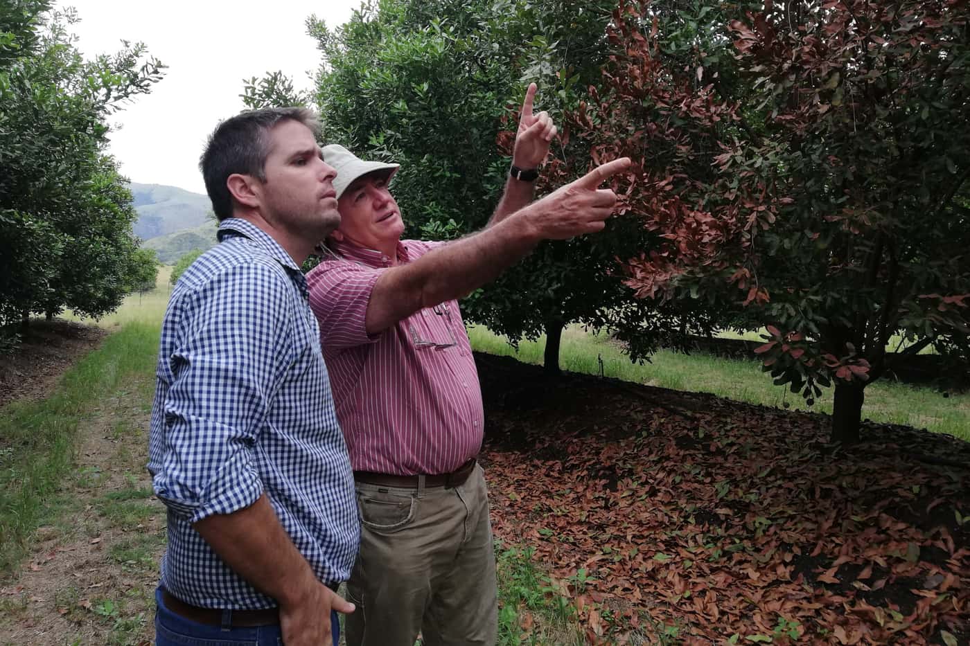 Dr Wayne Hancock visits the Macadamia Protection Programme and presents a special seminar at FABI