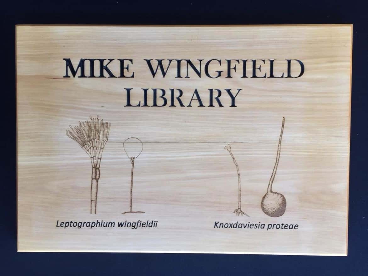 FABI home to the Mike Wingfield Library