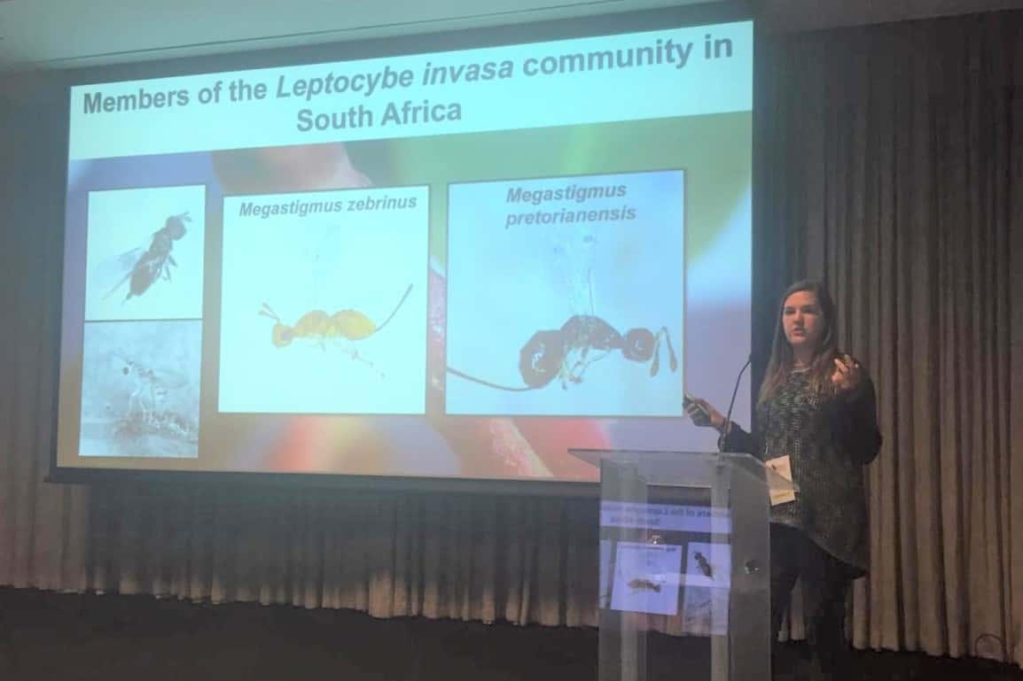 Significant FABI presence at ESSA Congress