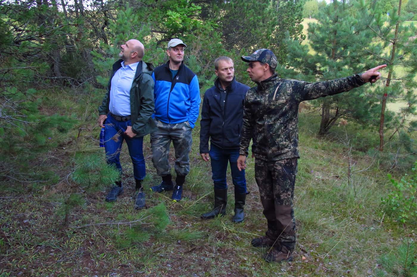 A brief forest pathology tour of south Estonia