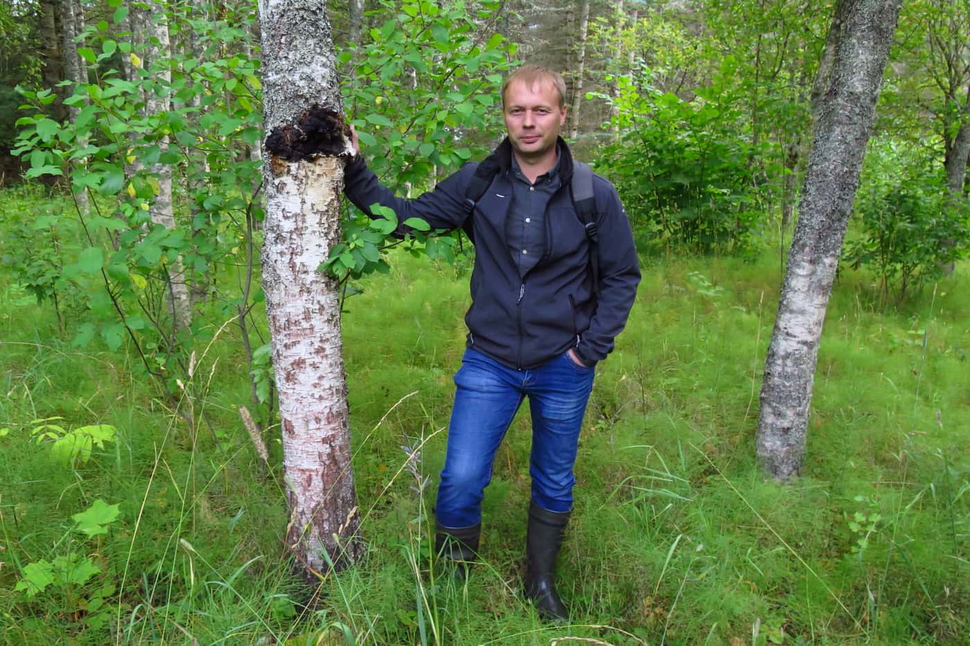 A brief forest pathology tour of south Estonia