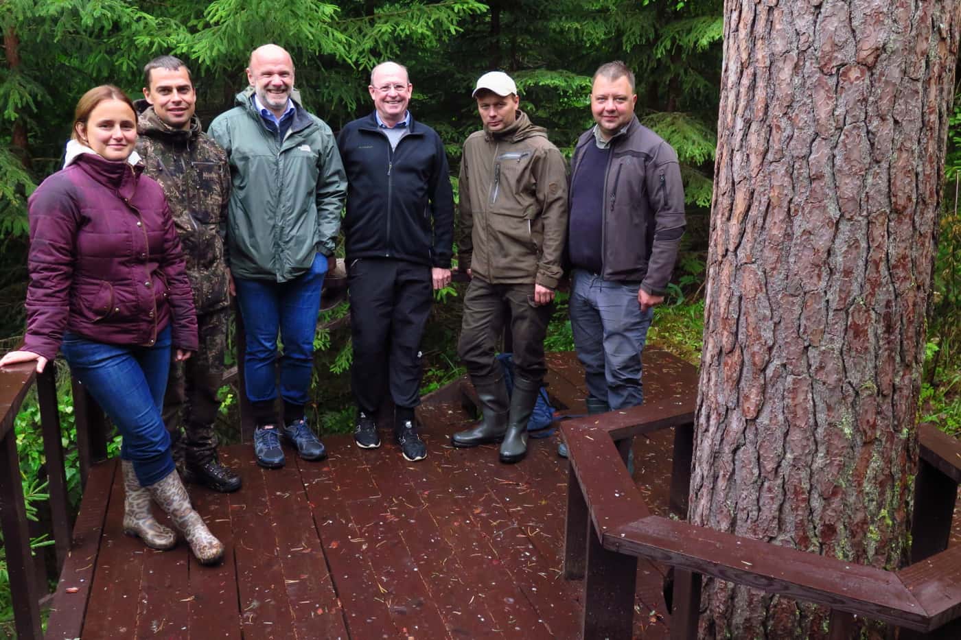 A brief forest pathology tour of south Estonia
