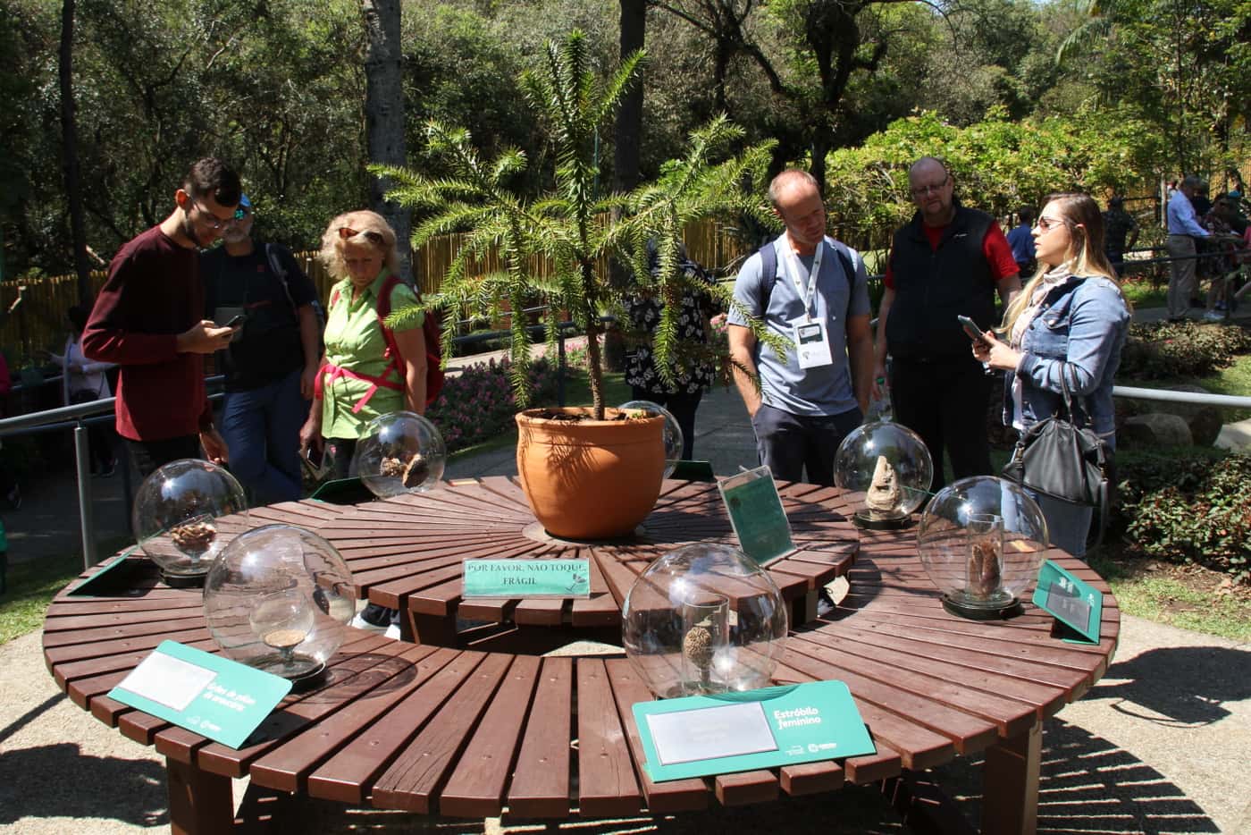 XXV IUFRO 2019 Tree Planting Ceremony