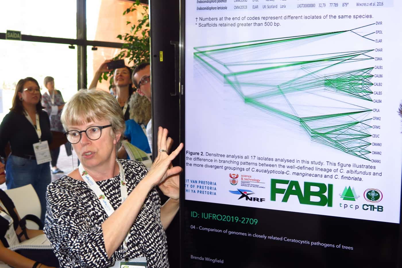 FABI flag flies high at the XXV IUFRO World Congress 2019