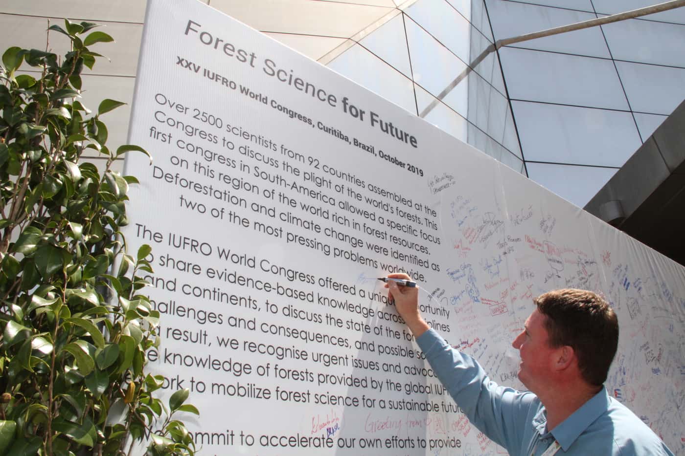 FABI flag flies high at the XXV IUFRO World Congress 2019