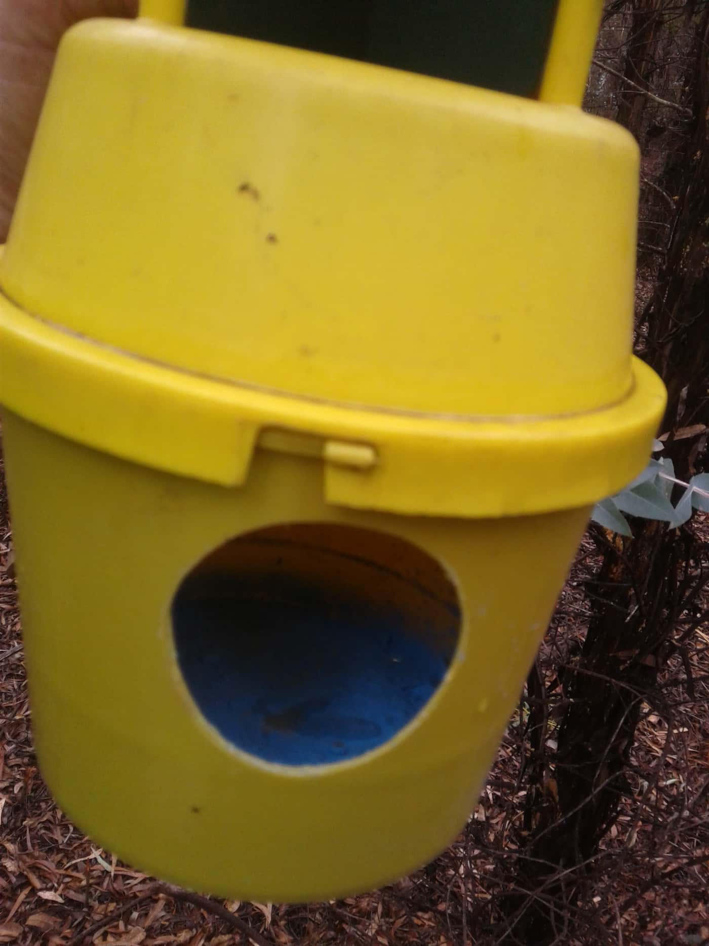 FABI chemical ecology field trials planned for 2019 and 2020
