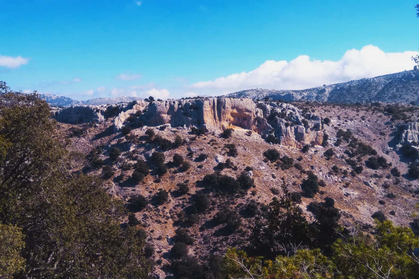 FABI postdoc attends IUFRO Phytophthora conference in Sardinia