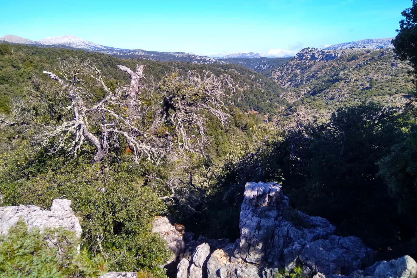 FABI postdoc attends IUFRO Phytophthora conference in Sardinia