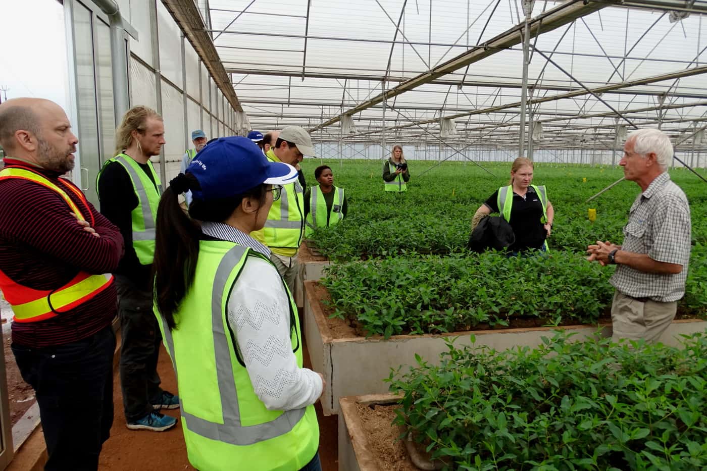 Researchers from 27 countries meet to discuss biological control of forest insect pests