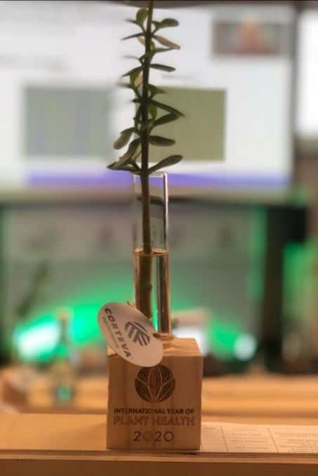 FABI students organise a half-day student symposium at SAPBA 2020 symposium funded by Corteva