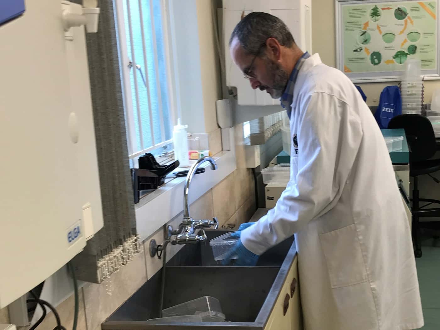 Keeping the TPCP biocontrol research programme alive (literally) during lockdown